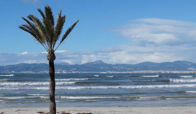 Playa de Palma Mallorca